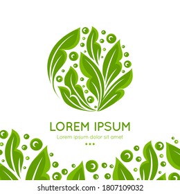 Green leaf emblem. Elegant, classic vector. Can be used for jewelry, beauty and fashion industry. Great for logo, monogram, invitation, flyer, menu, background, or any desired idea.