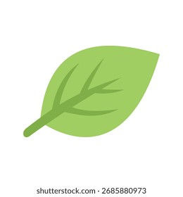 Hoja verde Medio ambiente Ecología Vector Plantilla