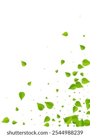 Green Leaf Falling Vector White Background Banner. Tea Greens Concept. Grassy Leaves Flying Plant. Foliage Realistic Wallpaper.