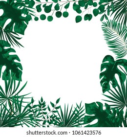 green leaf and fern background frame