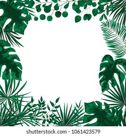 green leaf and fern background frame
