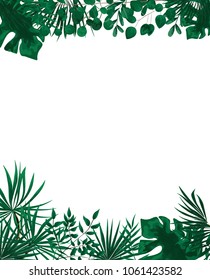 green leaf and fern background frame