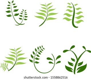 Green leaf fern vector set in flat style for 2d asset and decoration