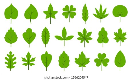 Green leaf flat cartoon icons set. Eco nature organic leaves birch, maple, tropical, poplar, clover isolated on white. Spring, summer tree sprout, tea, flora, herbal, ecology sign. Vector illustration