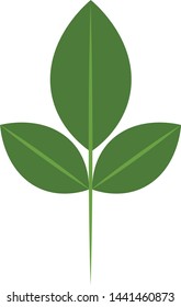 green leaf flat design (1)