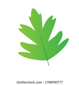 Green Leaf Flat Design Vector Illustration.