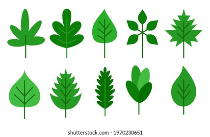 Green leaf flat icon set. Plant leaves, tree foliadge, organic, eco, fresh, bio, ecology environment, nature symbol. Abstract decorative shape maple, mint, oak, birch, spring or summer garden flora