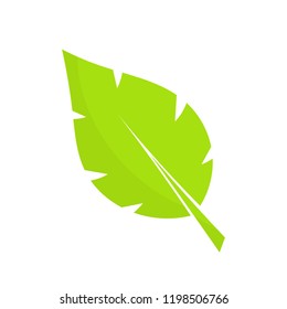 Green leaf flat icon. Vector illustration