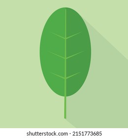 A green leaf flat vector icon
