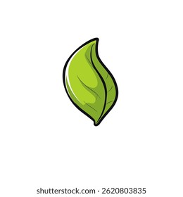 Green leaf floats alone on clean backdrop design