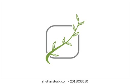 green leaf floral boho botanical monogram logo vector minimalist design logo