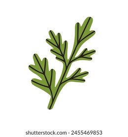 Hoja verde. Decoración botánica floral, vegetación natural. Hojas, planta fresca, flora de verano, perejil. Abstractas elemento de diseño orgánico. Ilustración vectorial gráfica plana aislada sobre fondo blanco