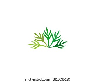 Green Leaf or Flower Icon Vector Illustrations