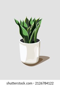 Green leaf flower planted in a white pot with earth.