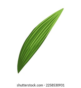 Green leaf flowers. Set for postcard, poster, ad, decor, fabric and other uses. Vector isolated illustration. Leaves of bluebell or lily of the valley.