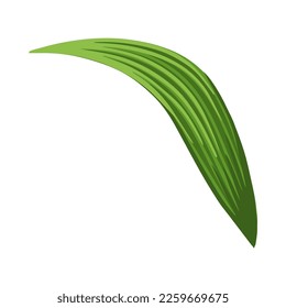 Green leaf flowers. Set for postcard, poster, ad, decor, fabric and other uses. Vector isolated illustration. Leaves of bluebell or lily of the valley.