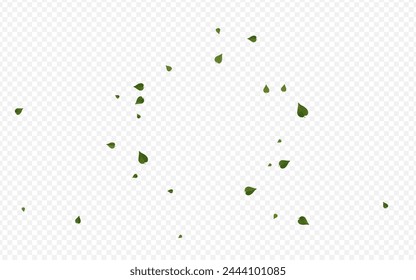 Green Leaf Fly Vector Transparent Background Plant. Organic Foliage Illustration. Forest Greens Spring Concept. Leaves Forest Backdrop.