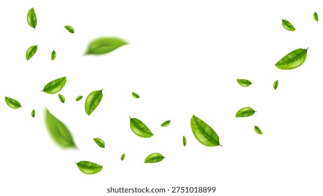 Fondo Vector volador hoja