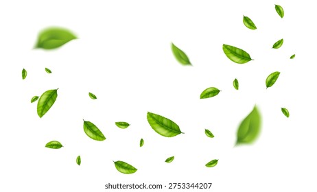 Fondo Vector volador hoja