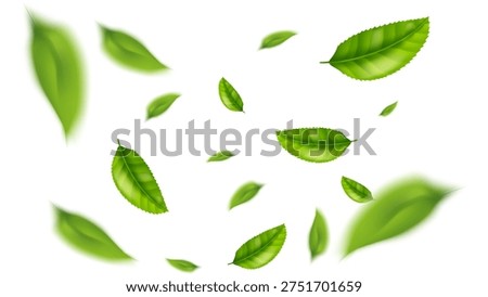 green leaf flying vector background