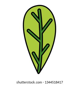 green leaf foliage