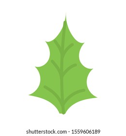 green leaf foliage botanical icon vector illustration