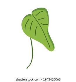hoja verde dibujada a mano