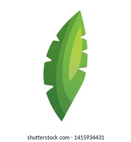 green leaf foliage on white background vector illustration