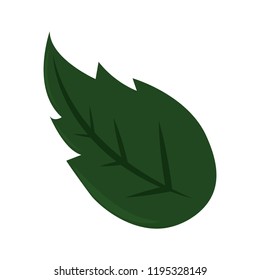 green leaf folige nature isolated design
