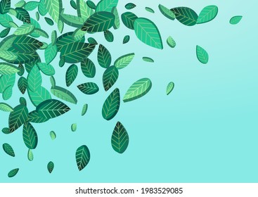 Green Leaf Forest Vector Blue Background Plant. Nature Greens Illustration. Forest Foliage Falling Brochure. Leaves Tree Pattern.