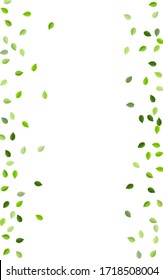 Green Leaf Forest Vector Concept. Transparent Greens Template. Grassy Foliage Flying Plant. Leaves Fly Pattern.