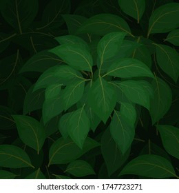 Green leaf in forest vector nature wallpaper background