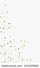 Green Leaf Forest Vector Transparent Background. Motion Leaves Border. Lime Foliage Abstract Template. Greens Fly Poster.