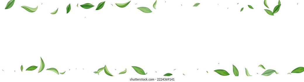Green Leaf Forest Vector White Panoramic Background Branch. Nature Leaves Poster. Lime Greens Wind Concept. Foliage Tea Pattern.