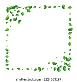 Green Leaf Forest Vector White Background. Ecology Foliage Template. Olive Greens Swirl Concept. Leaves Realistic Brochure.