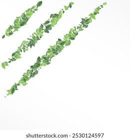 Green Leaf Forest Vector White Background Poster. Realistic Greenery Design. Swamp Foliage Nature Branch. Leaves Tea Wallpaper.