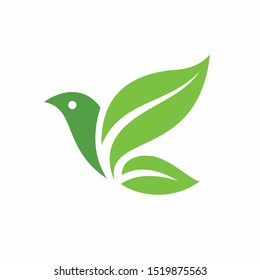 Green leaf formed bird logo template