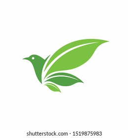 Green leaf formed bird logo template