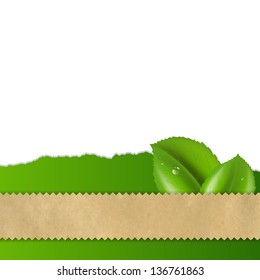 Green Leaf With Fragmentary Paper With Gradient Mesh, Vector Illustration