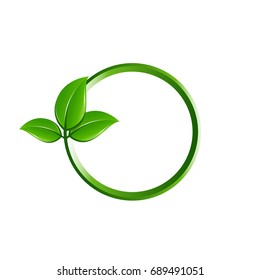 green leaf and frame concept