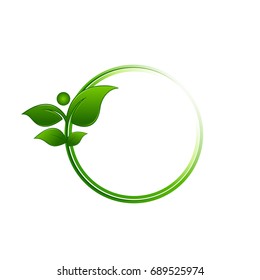 green leaf and frame concept