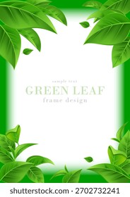 Diseño de marco de hoja verde | Ilustración vectorial realista de hojas verdes frescas