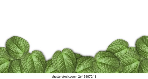 Green Leaf Frame on Light Gray Background – Nature Border Template

