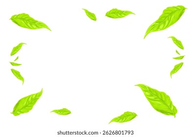 green leaf frame without background