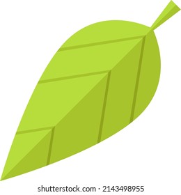 Hoja verde. Símbolo de follaje de primavera fresco. Signo de la naturaleza