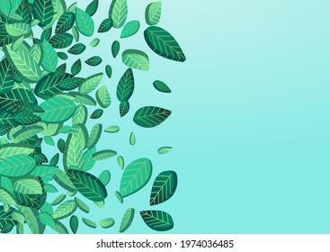 Green Leaf Fresh Vector Blue Background Pattern. Organic Foliage Branch. Grassy Leaves Tea Backdrop. Greens Forest Brochure.