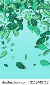 Green Leaf Fresh Vector Blue Background Banner. Swirl Foliage Border. Olive Greens Transparent Wallpaper. Leaves Fly Branch.