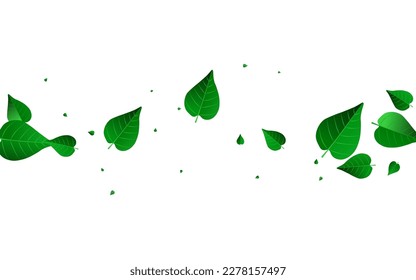 Green Leaf Fresh Vector White Background Brochure. Tea Leaves Illustration. Mint Foliage Wind Wallpaper. Greens Transparent Concept.