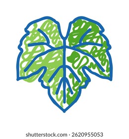 vetor de esboço de ícone de doodle de uva de folha verde. sinal de uva de folha verde. ilustração de símbolo isolado
