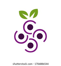 hoja verde con el logotipo de frutas de uvas en una simple línea plantilla vectorial ilustración de icono diseño